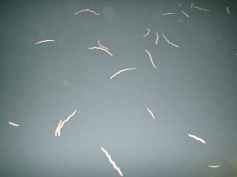cip2enhhaiu8wymdpxxc_920_690-b528ca2c.jpg
