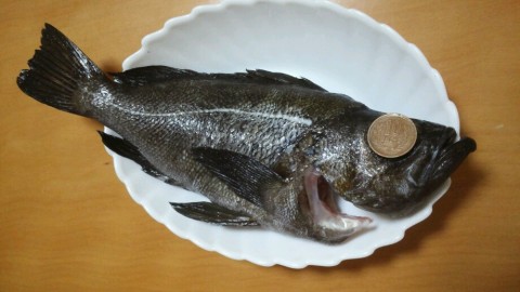 ciyremjymguvdhaov7oc_920_518-3fd86875.jpg