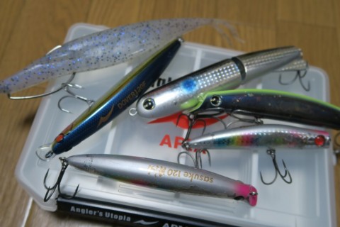cize6hywd66nto5dv7k3_480_480-2ff7cb74.jpg