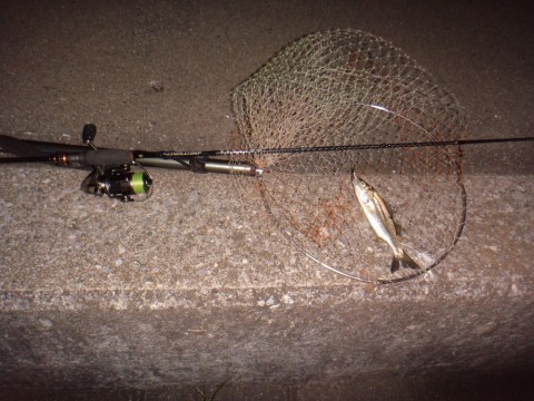 cizz9mm79f53ftnhbyzj_480_480-222f03b3.jpg