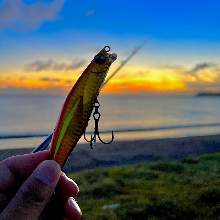SEA SCAPE】 いよいよ発売!! BANQ 120S