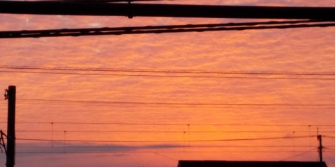 cjb48rrdbsvp4f4k7oth_480_480-a9e37f11.jpg