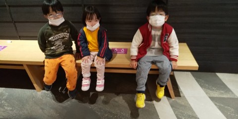 cjbgvwsdagi2iyc7pudc_480_480-4bf89631.jpg