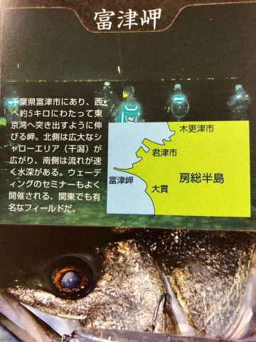 cjc7ieixg5ios32dotmn_480_480-594e1755.jpg