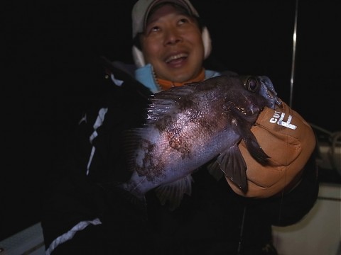 cjc7kaai2ypx58n9ggzp_480_480-3ddd1110.jpg