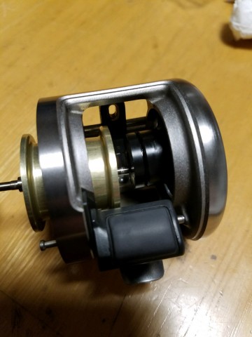 cjjgwtry9jnwh8psfrwt_480_480-10cc6ce7.jpg