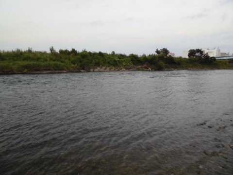 cjrgbnwtt9xdkigbauxb_480_480-c9a47d83.jpg