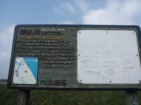 cjw853etp9a66i6esn2t_920_690-40570563.jpg
