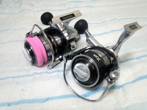 cjxb2jd596bt3iefyheo_480_480-083a8824.jpg
