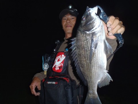 cjyi84xvp6x7dcjcmytu_480_480-5fef7464.jpg