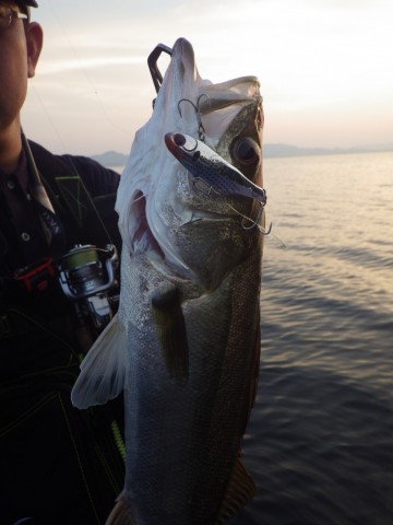 ckaigm3bombgkbjts5j8_480_480-ea7a90f3.jpg