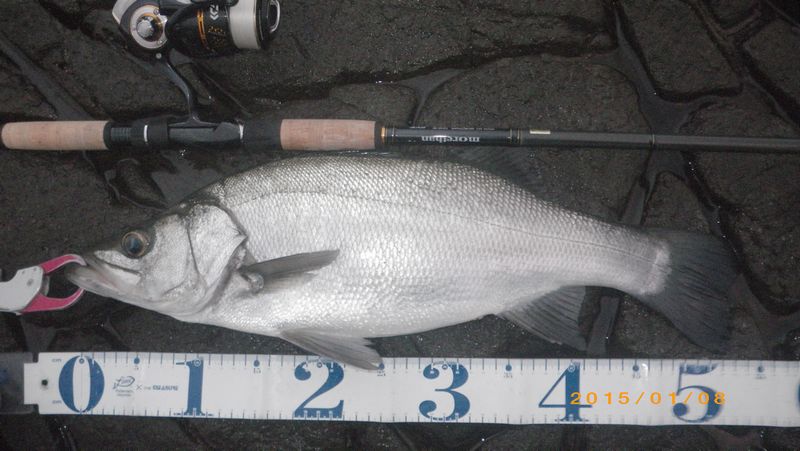 行くぜ！怪盗釣魚！Re:Dive】 ハイプレッシャーの平鱸釣行
