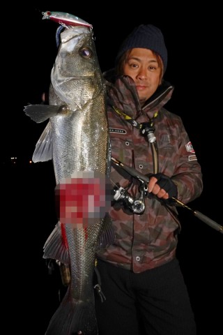 cken68iboeyexs2bg9nk_480_480-f1dd8697.jpg