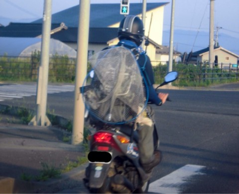 ckkck8k49d32ziwb588k_920_745-98f37b07.jpg