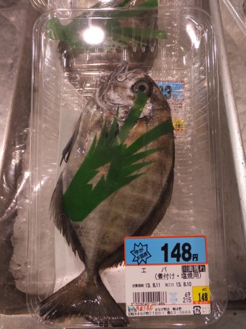ckkowvffgbdnguz96kpw_480_480-37c546be.jpg