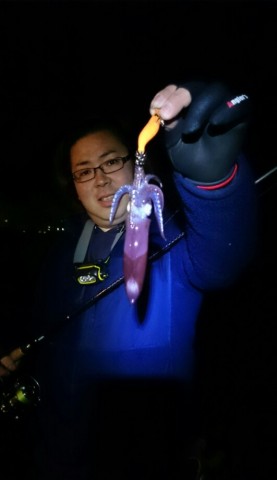 cm64id4zwgxg4bzvsbne_531_920-f31c9b90.jpg