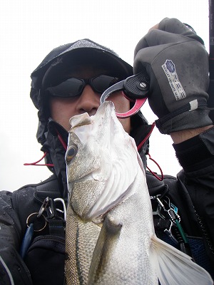cm78gznc5b4kfa8wak22-2cf24f27.jpg