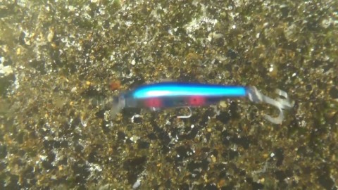cm7b5yspeoxnumhxj7si_480_480-3357f0c6.jpg
