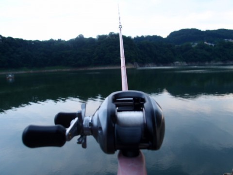 cm86zba2ixo4kkcjh2bg_480_480-4d2cb144.jpg