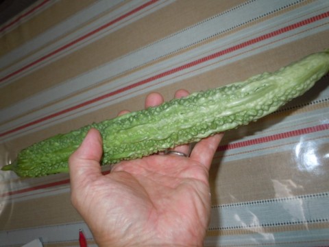 cmdyr2sutvbtcuc74yve_480_480-d70fadb6.jpg