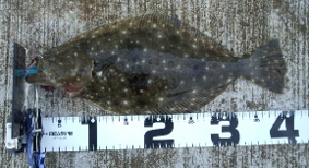 cnrhh3hmsiyidr3cs7uy-38ed232f.jpg