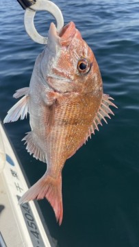 cntsp7kweskngusegvcf_270_480-f67f3fb8.jpg