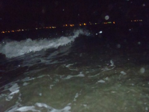 cocsebhi846dxh8fr663_480_480-52835f28.jpg