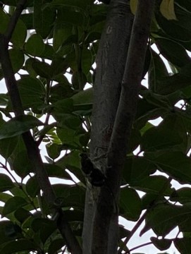 cofddn2ejwiyne74u7ve_361_480-e8c02d34.jpg