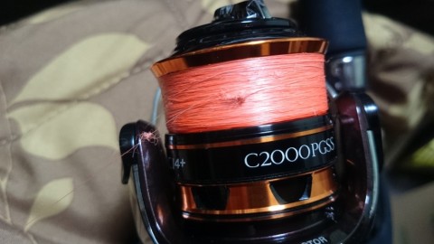 coouny7skdeb638xccyz_480_480-d86eee36.jpg