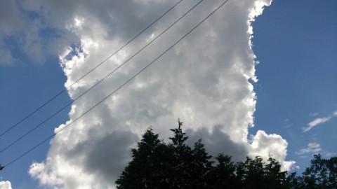 corniw5wiu8ietcaw9xn_480_480-556c2078.jpg