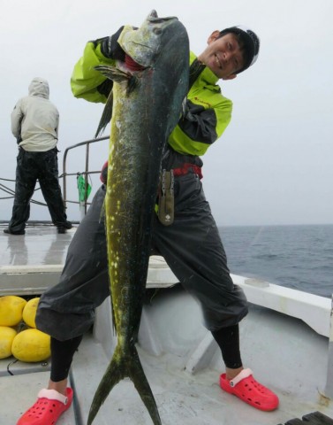 coyfcwor25pby9wb7ipy_723_920-29a846e7.jpg