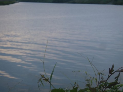 cpcjy5zj4d9f5h7m94t3_480_480-ab181af5.jpg