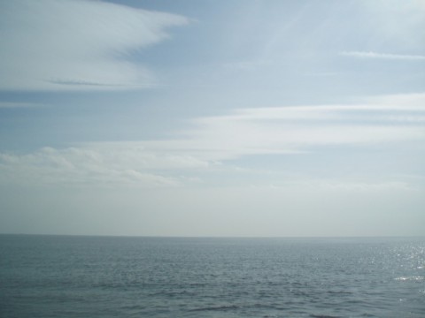 cpfy8874n4vy6csfraph_480_480-5554f94e.jpg