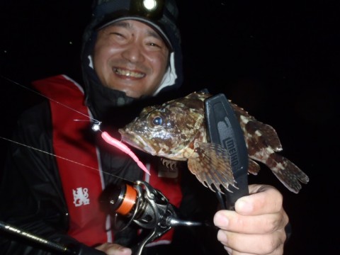 cpggppew8432cwndvz5y_480_480-6fa34797.jpg