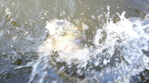 cpmf9n59hiyt95ebi8mo_920_518-e224e6a3.jpg