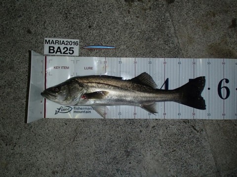 cpooep9mu2famc4ptpvh_480_480-73eba872.jpg
