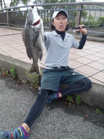cps6m7gh27peigzpg5x3_480_480-a07d72cb.jpg