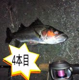 cpve9dn8csoyk72biu3x-f0738b43.jpg