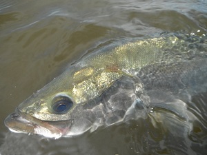 cr3kzizigb9wszivsov4-673d9740.jpg