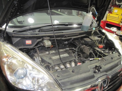 crdg33rdt2vkf4sdzr8y_480_480-15b4780a.jpg