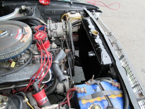 crh8b6vyuvobxf9n65x2_480_480-bd07bcdd.jpg