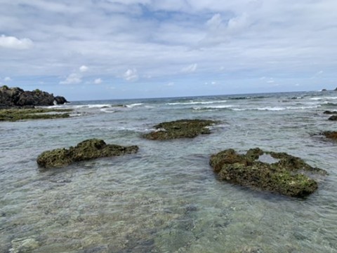 crn34vk955etjb2voja5_480_361-03538252.jpg