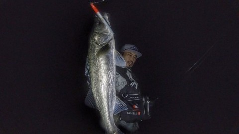 crokb2wjtah9xzr9ebke_480_270-571ded2a.jpg