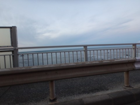 csdvgu6w8ywta9e6ydyv_480_480-5ac246ac.jpg