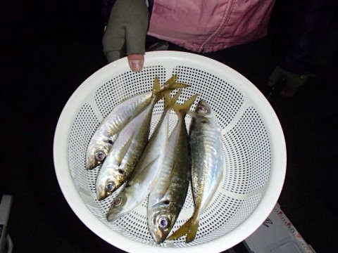 csm8gt9kjscn2b72hwae_480_480-338a68cd.jpg