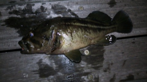 csvsr8mxhhyx66xaz276_920_518-78948a08.jpg