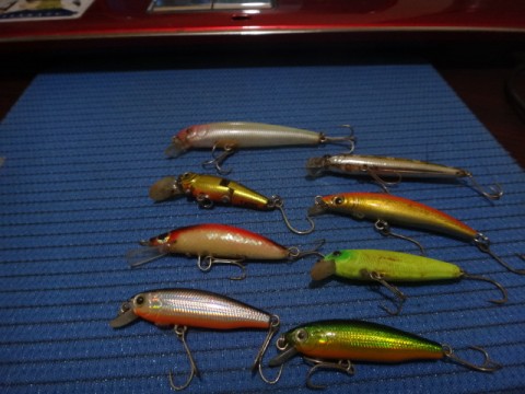 ctbmj6y8uvhkbvhc24jh_480_480-072e2168.jpg