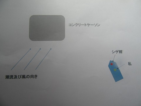 ctpc3jgc8r64vtrvkbho_480_480-d304f885.jpg