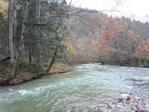 ctswv7hmni235ayuwftz_920_690-c0d04e5e.jpg