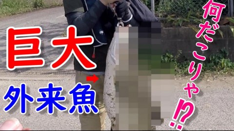 ctv9ru5jhdx7yvcwsz4d_480_480-fd08e1c0.jpg